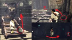 All Barrel Locations in The Last Guardian Game