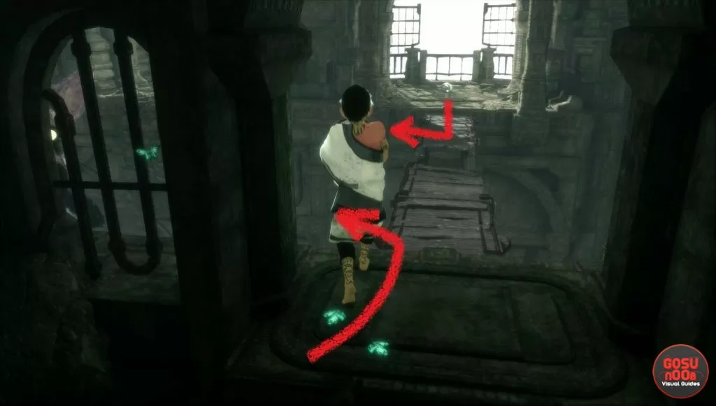 Barrels in the Last Guardian