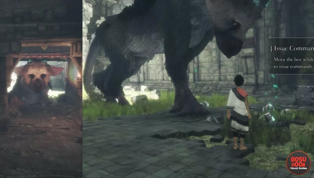 Issue Trico Command to break barrels Last Guardian