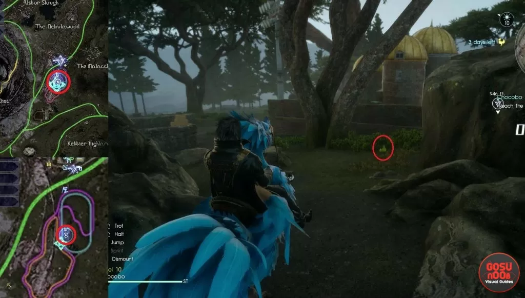 Mamook Pear Location FFXV