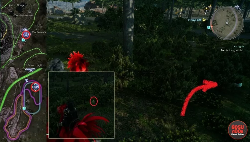 Secret Chocobo Han Pear Final Fantasy XV