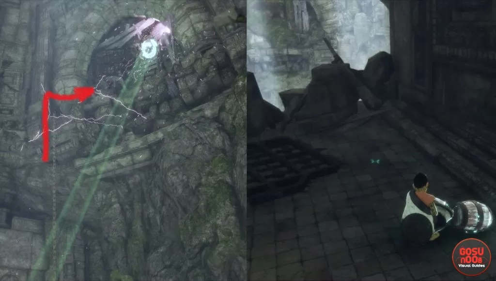 Where to find more food for Trico Last Guardian