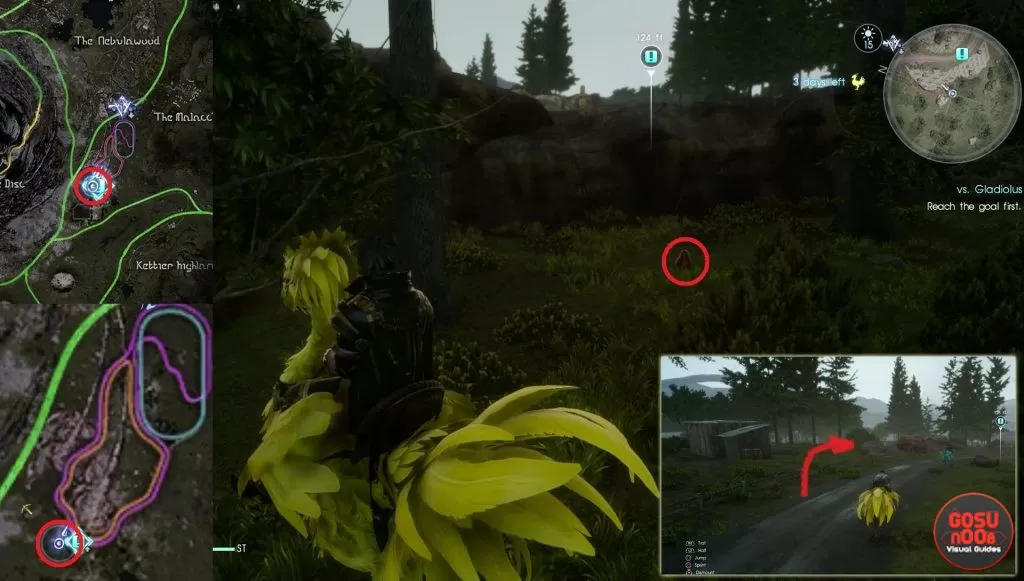 Xelpathol Secret Chocobo Color Pear FFXV