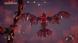 How to Defeat Stormbird Horizon Zero Dawn