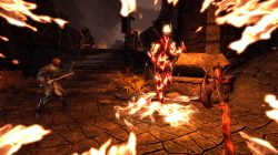 Morrowind Gameplay Trailer & Screenshots Forgotten Waste