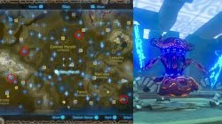 Ancient Battle Axe + Zelda Breath of the Wild