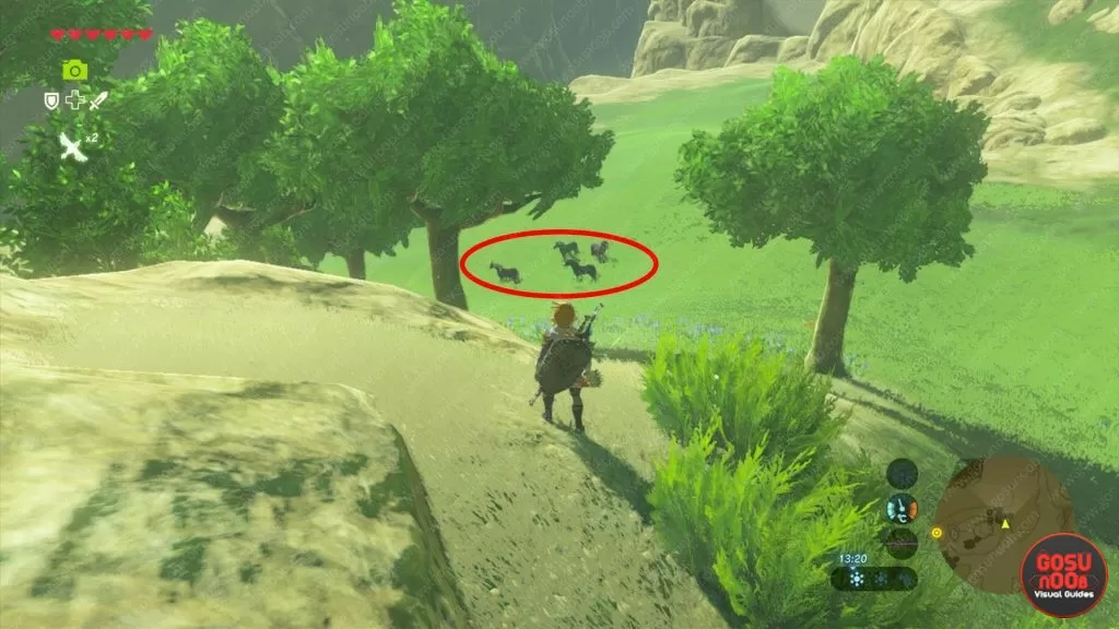 Best Wild Horses Locations Zelda Breath of the Wild