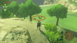 Best Wild Horses Locations Zelda Breath of the Wild