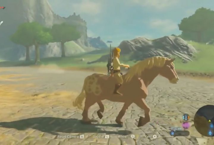 Breath of the Wild Activities - Gliding, Flying, Cooking, Sailing & More