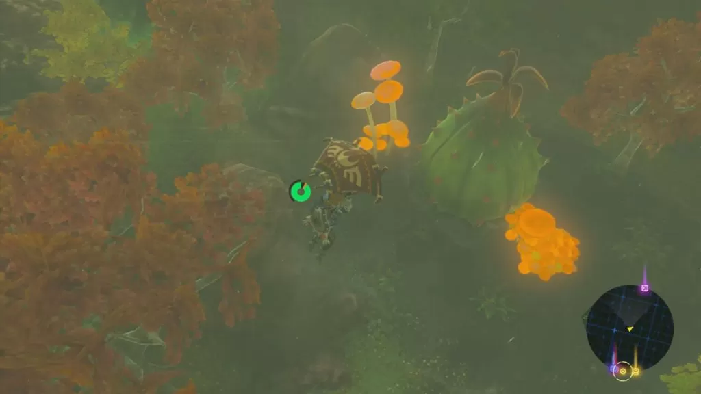 Breath of the Wild Where to Find All Great Fairy Fountain Locations