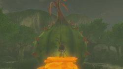 Breath of the Wild Where to Get First Fairy Fountain