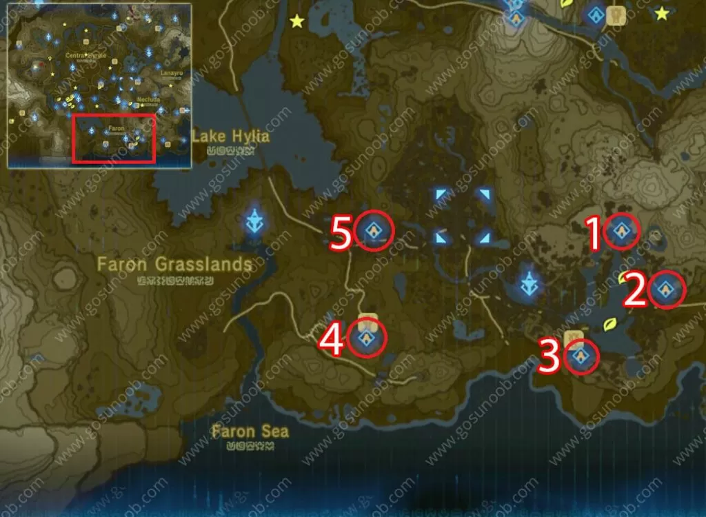 Faron Shrine Locations Zelda Breath of the Wild