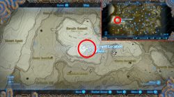 Forgotten Sword Location Zelda BOTW