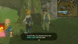 From the Ground Up side quest start location zelda