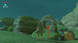 How to Solve Two Rings Puzzle Zelda BOTW
