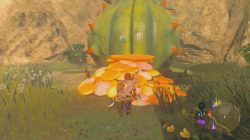 How to find Second Great Fairy Fountain in Zelda Breath of the Wild