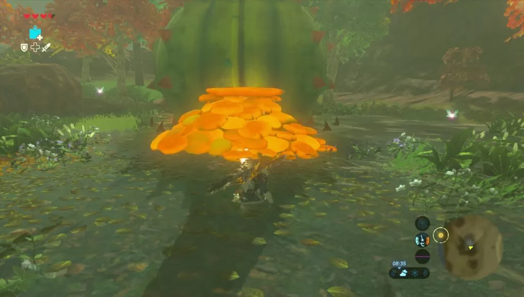 Where to find Second Fairy Fountain Zelda Breath of the Wild