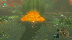 Where to find Second Fairy Fountain Zelda Breath of the Wild