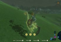 Zelda BOTW How to Get Skeleton Horse