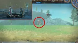 Zelda BOTW How to Get Zora Armor Pants