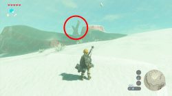 Zelda BOTW Where to Find Forgotten Sword