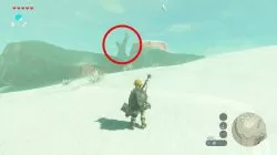 Zelda BOTW Where to Find Forgotten Sword