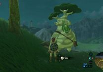 Zelda Breath of the Wild How to Increase Inventory Size