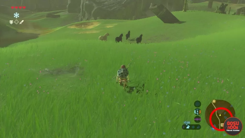 Zelda Breath of the Wild How to Get Horses