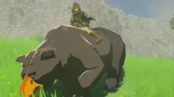 bear mount zelda