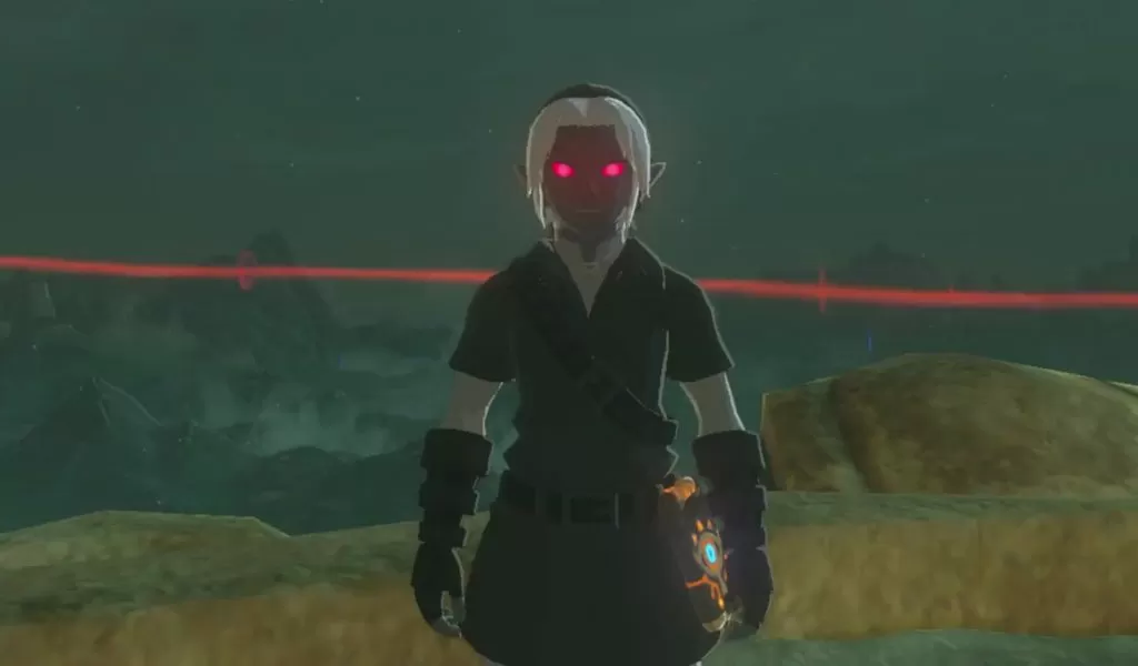 dark link costume zelda breath of the wild