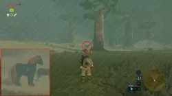 giant horse zelda botw