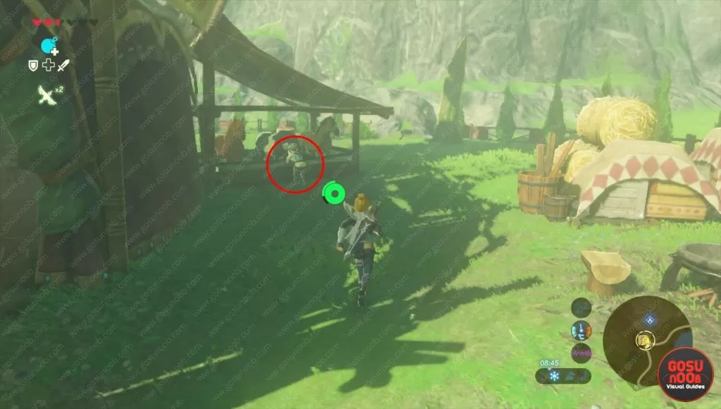 how to customize horse zelda botw