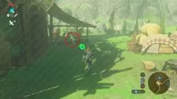 how to customize horse zelda botw