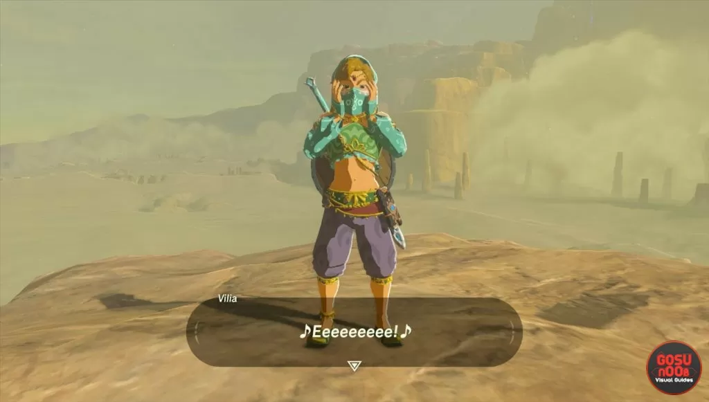 how to enter gerudo town zelda breath of the wild