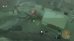 how to make money fast zelda botw