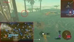 sand seal racing zelda botw