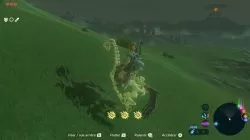 skeleton horse zelda botw