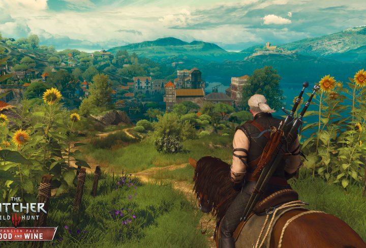 witcher 3 tousssaint