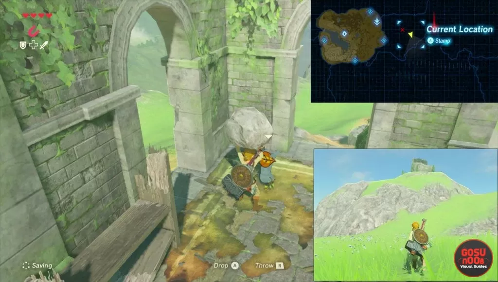 zelda botw Korok seeds west necluda