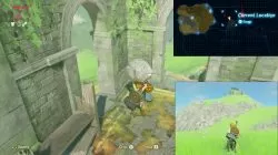 zelda botw Korok seeds west necluda