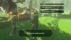 zelda botw extravagant saddle horse armor