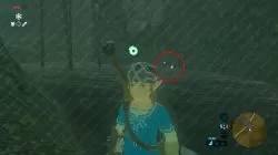 zelda botw full health fairy