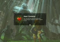 zelda breath of the wild how to swap heart container for stamina vessel