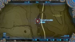 palme location zelda botw