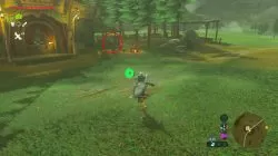 where to find great skeletons zelda botw