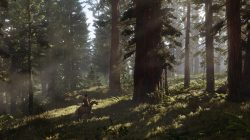 Red Dead Redemption 2 New Screenshots