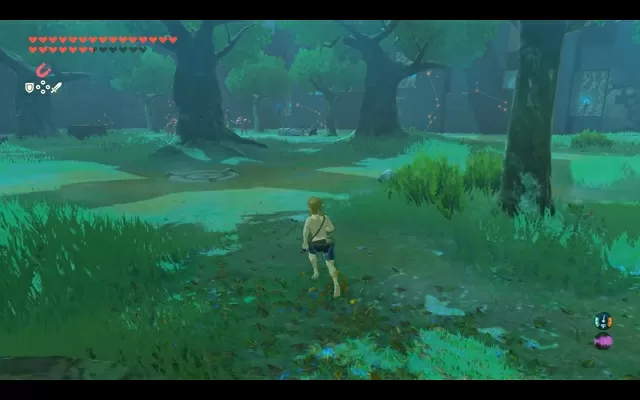 zelda botw trial of the sword