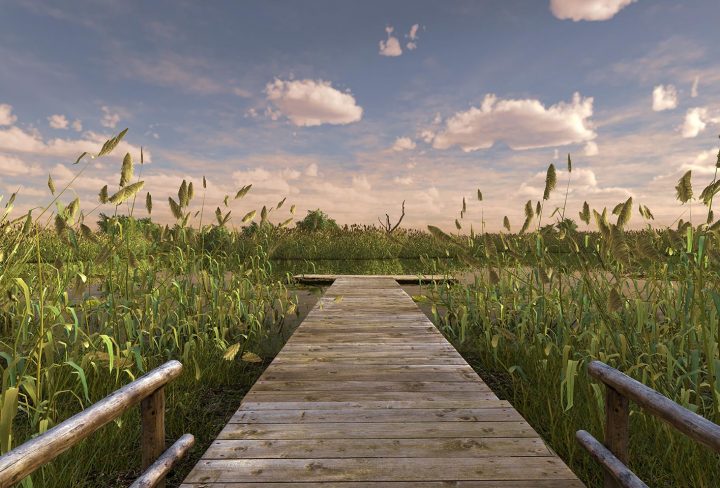 fishing planet trailer