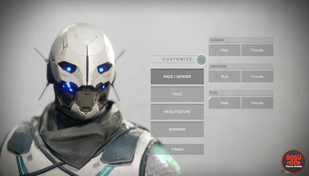 Destiny 2 Character Customization