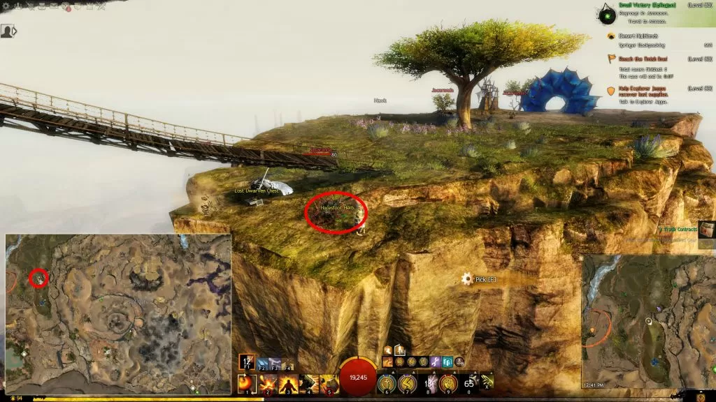 GW2 Haresfoot Herb Location Desert Highlands